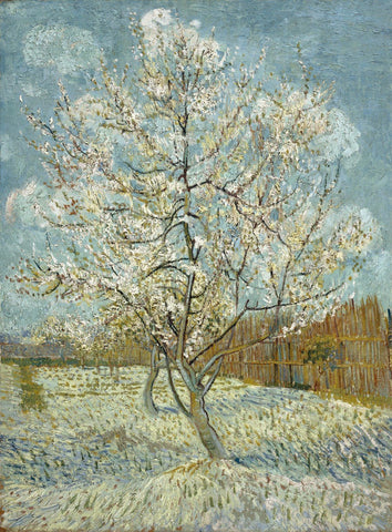 Vincent van Gogh - De roze perzikboom - The Pink Peach Tree - Posters