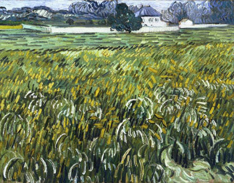 Wheat Field at Auvers with White House - Large Art Prints by Vincent Van Gogh