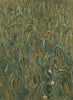 Vincent van Gogh - Ears of Wheat - Auvers-sur-Oise - Canvas Prints