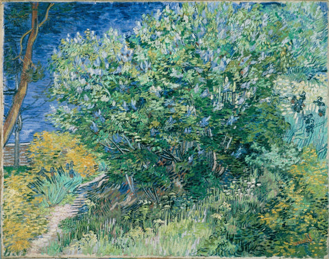Vincent van Gogh - Lilac Bush - Large Art Prints by Vincent Van Gogh