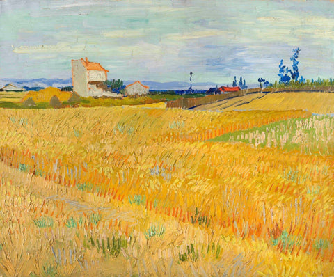 Yellow field - Art Prints by Vincent Van Gogh