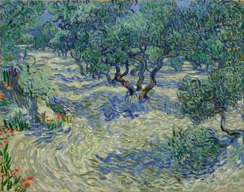 Vincent van Gogh - Olive Orchard - Large Art Prints by Vincent Van Gogh