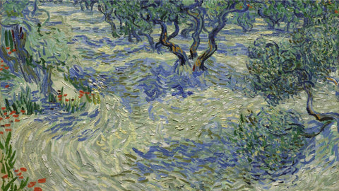 Vincent van Gogh - Olive Trees With Grasshopper - Framed Prints by Vincent Van Gogh