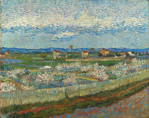 Peach Blossoms In The Crau - Posters