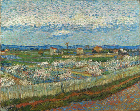 Peach Blossoms In The Crau - Large Art Prints by Vincent Van Gogh