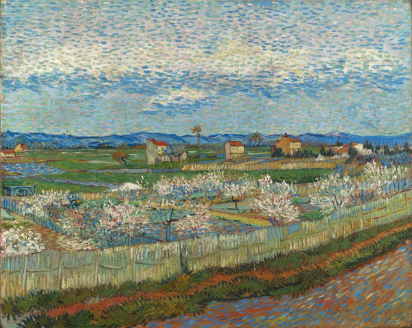 Vincent van Gogh - Perzikbomen in bloei - Art Prints