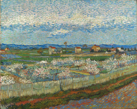 Peach Blossoms In Crau (Perzikbomen in Bloei) - Vincent van Gogh