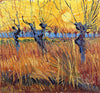 Pollard Willows And Setting Sun - Canvas Prints