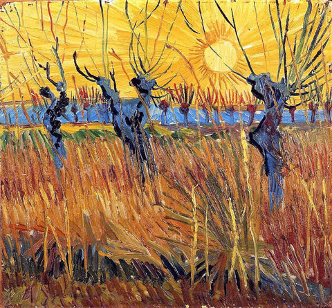 Pollard Willows And Setting Sun by Vincent Van Gogh