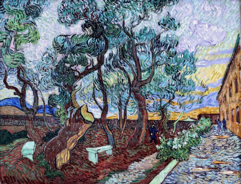 The Garden Of St Pauls Hospital At St Remy - Large Art Prints by Vincent Van Gogh