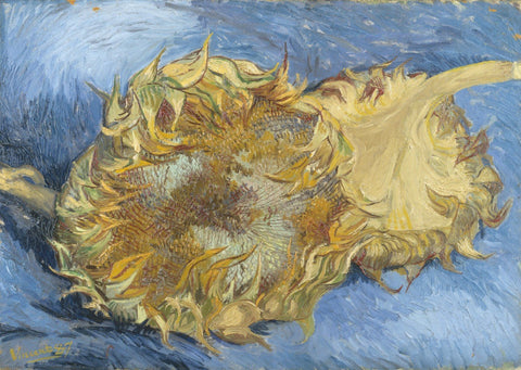 Vincent van Gogh - Two Cut Sunflowers, 1887 by Van Gogh - Framed Prints by Vincent Van Gogh