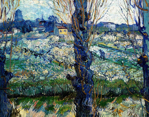 Vincent van Gogh - View on Arles - Framed Prints by Vincent Van Gogh