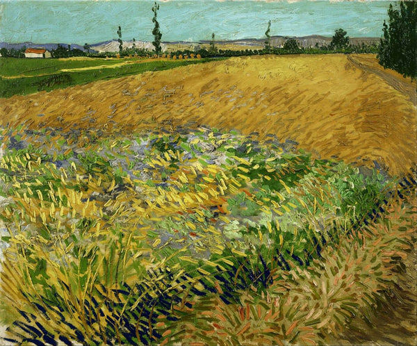 Vincent van Gogh - Wheatfield - Canvas Prints