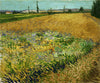 Vincent van Gogh - Wheatfield - Canvas Prints