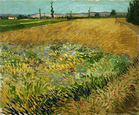 Vincent van Gogh - Wheatfield - Life Size Posters