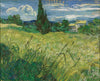 Green Wheat Field with Cypress - Posters