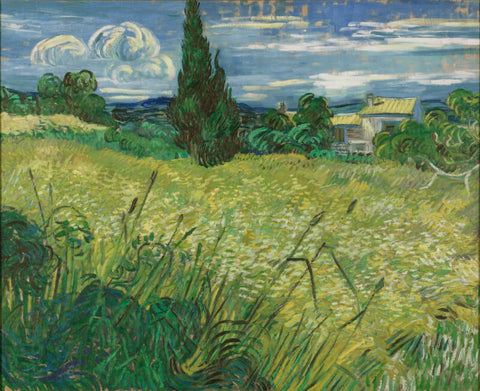 Green Wheat Field with Cypress by Vincent Van Gogh