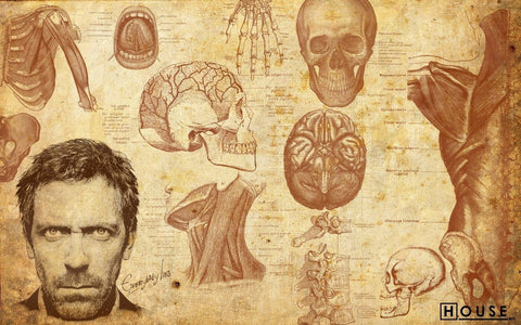 Vintage Medical Poster - Fan Art From House MD - Life Size Posters