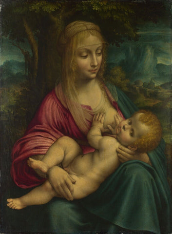 The Virgin and Child - Canvas Prints by Leonardo da Vinci