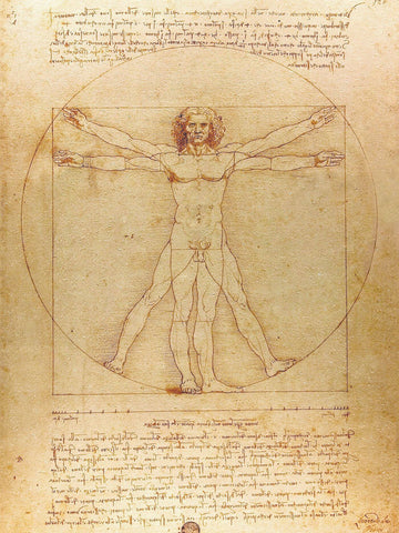 Vitruvian Man - Canvas Prints Rolls (On Sale) by Tallenge Store