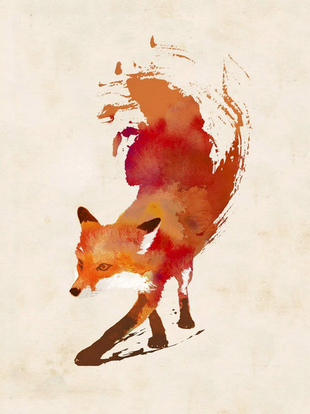 Vulpes - Framed Prints