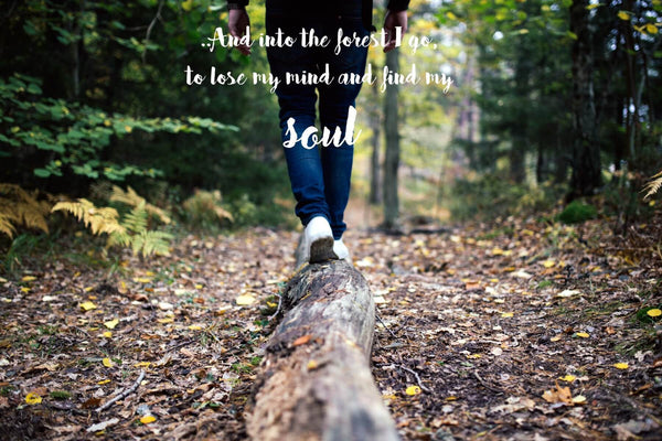 Wanderlust - Inspirational Quote - And Into The Forest I Go To Lose My Mind And Find My Soul - Art Prints