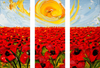 Warm Sunshine On A Field Of Flowers by Christopher Noel - Art Panels