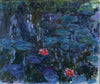 Water Lilies - Art Prints