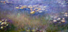 Water Lilies (St Louis)- Claude Monet - Large Art Prints