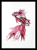 Set Of 2 Koi Fish And Betta Fish - Premium Quality Framed Digital Print (12 x 18 inches)