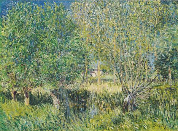 Weiden am Ufer der Orvanne - Canvas Prints