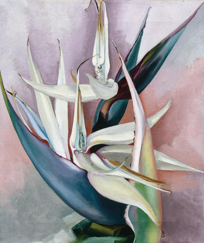 White Bird Of Paradise - Georgia O'Keeffe - Framed Prints