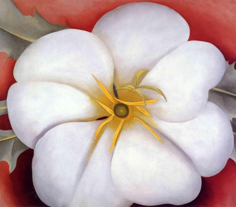 White Flower On Red Earth - Georgia OKeeffe - Canvas Prints by Georgia OKeeffe