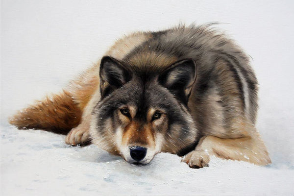 Wolf In Snow - Realistic Animal Painting - Life Size Posters