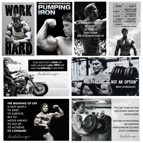 Set of 10 Best of Arnold Schwarzenegger - Poster Paper (12 x 17 inches) each by Joel Jerry