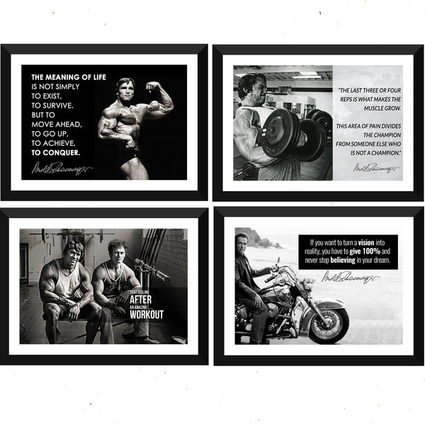 Arnold Schwarzenegger - Set of 10 Framed Poster Paper - (12 x 17 inches)each