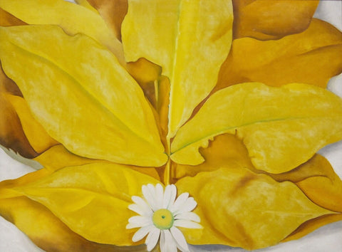 Yellow Hickory Leaves With Daisy - Georgia OKeeffe - Canvas Prints by Georgia OKeeffe