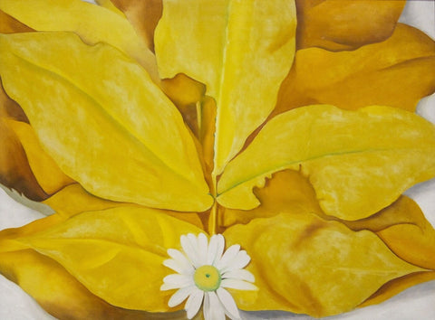 Yellow Hickory Leaves With Daisy - Georgia OKeeffe by Georgia OKeeffe
