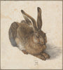Hare, 1502 - Albrecht Dürer - Posters