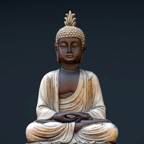 Gautam Buddha - The Enlightened One by Aditi Musunur