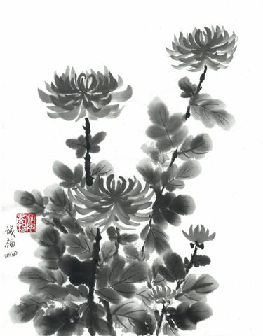 Chrysanthemum  - Posters by Akimova