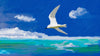 White Tern On The Water - Posters