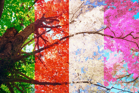 Four Seasons in One Day  - Framed Prints by Tommy
