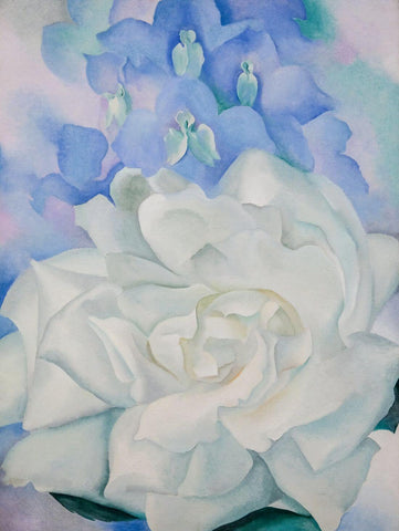 White Rose With Larkspur No. 2 - Georgia O Keeffe - Art Prints by Georgia O Keeffe