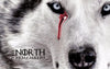 Art From Game of Thrones - House Stark  - Posters