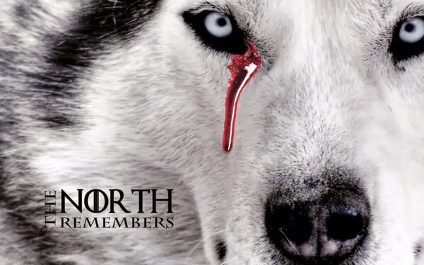 Art From Game of Thrones - House Stark  - Art Prints