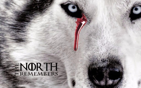 Art From Game of Thrones - House Stark  - Art Prints