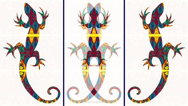 Lizard - Framed Prints