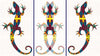 Lizard - Framed Prints