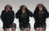 Speak No Evil, See No Evil, Hear No Evil - Large Art Prints